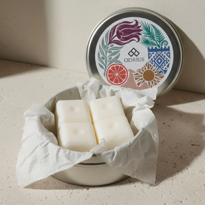 ZAMANSIZ YAZ | Narenciye ve Lavanta Buhurdanlık Koku Seti - Koku Barı Seti (Wax Melt)