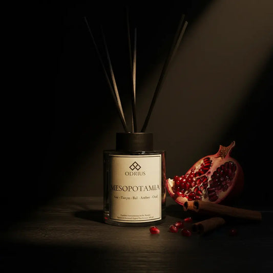 MESOPOTAMIA | Nar ve Amber Çubuklu Oda Kokusu - Reed Diffuser