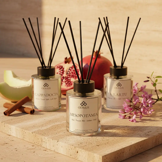 SICAK MİRAS | Nar, İğde ve Amber Çubuklu Oda Kokusu Seti - Reed Diffuser Set