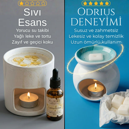 ZAMANSIZ YAZ | Narenciye ve Lavanta Buhurdanlık Koku Seti - Koku Barı Seti (Wax Melt)