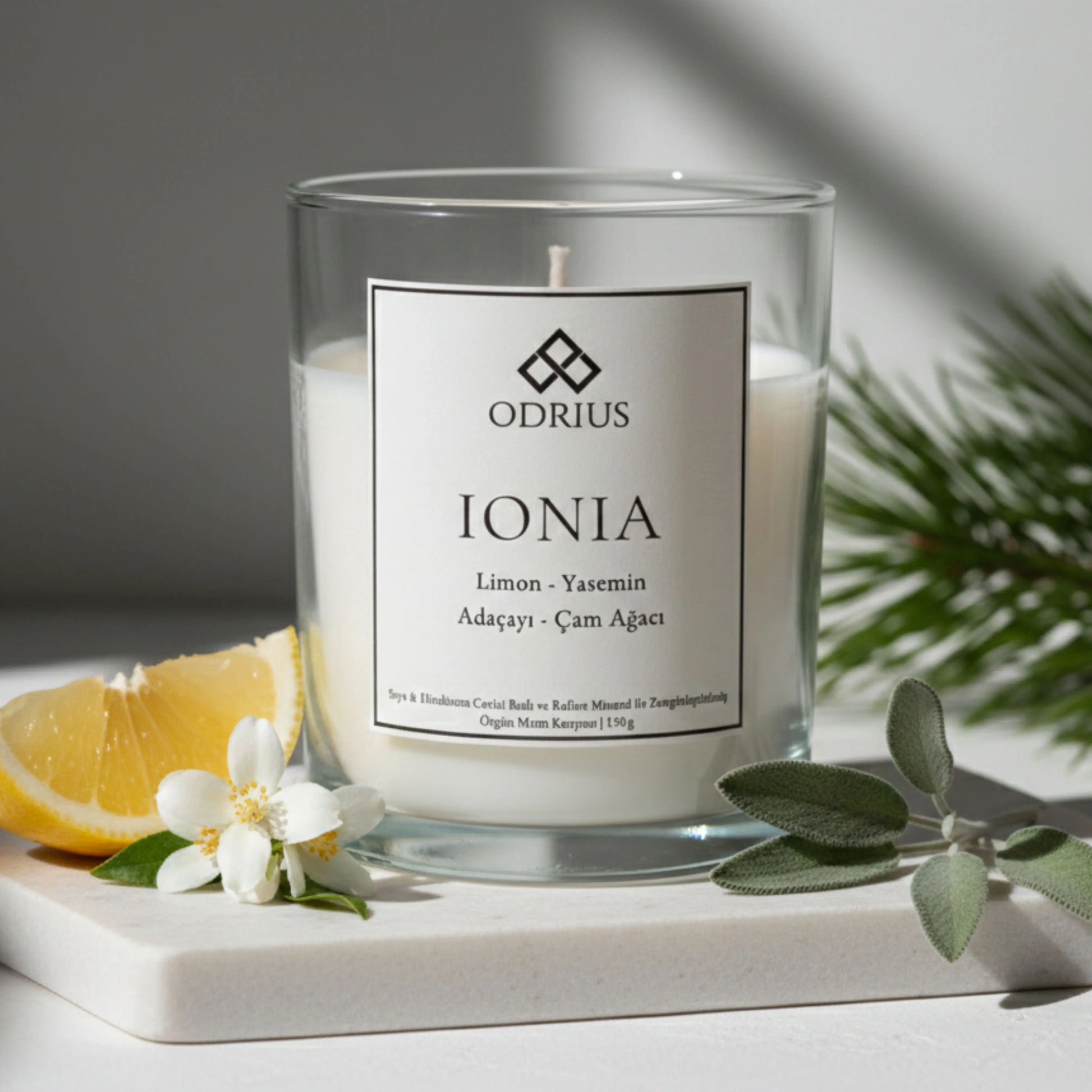 Odrius Ionia limon ve adaçayı notalı tazeleyici soya blend mum
