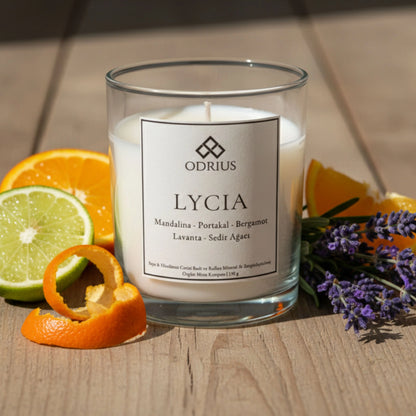 Odrius Lycia narenciye ve lavanta notalı ferahlatıcı soya blend mum
