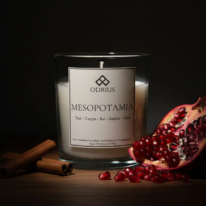 Odrius Mesopotamia nar ve amber notalı zengin içerikli oryantal soya blend mum