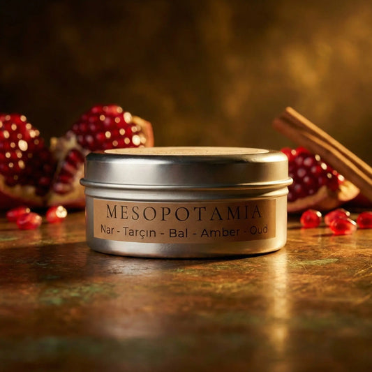 Odrius Mesopotamia nar ve amber notalı zengin buhurdanlık kokusu koku barı wax melt